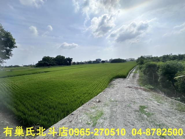 田中農地-4