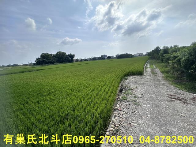 田中農地-9