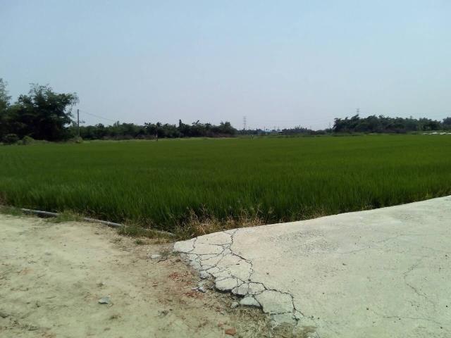 嘉義大林農地-4