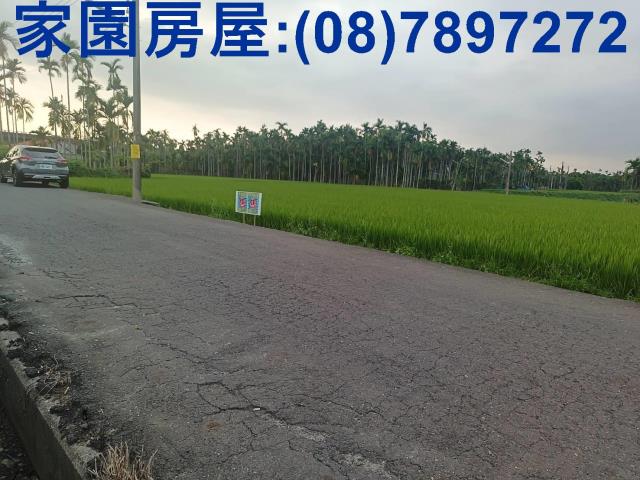 屏東農地-2