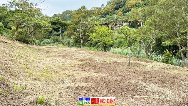 新竹竹東農地-10