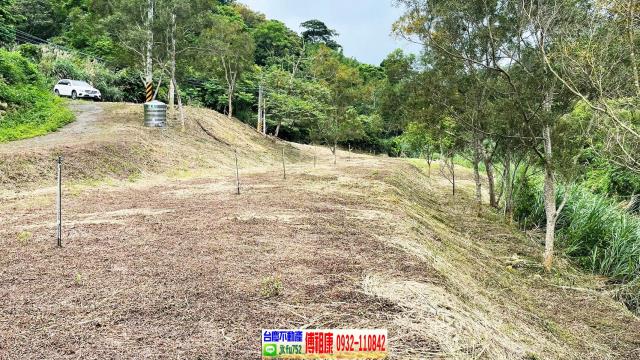 新竹竹東農地-11