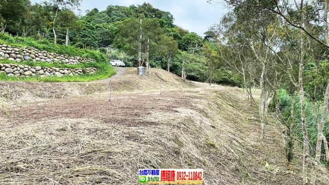 新竹竹東農地-12