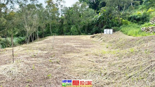 新竹竹東農地-4