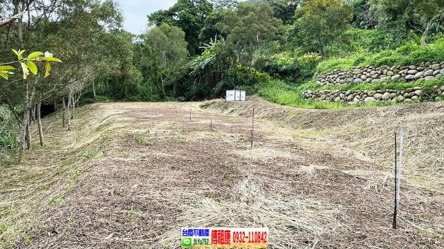 新竹竹東農地-5