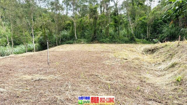 新竹竹東農地-6
