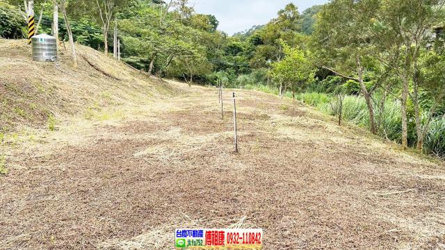 新竹竹東農地-9