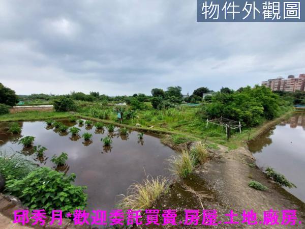 三芝農地-3