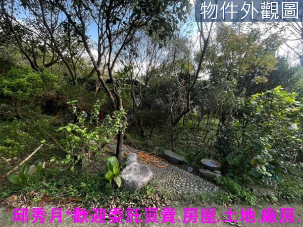 三芝農地-6