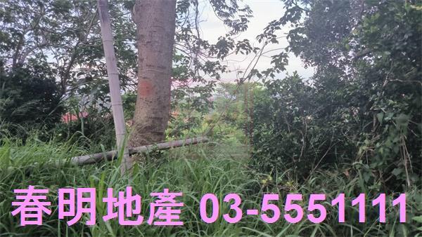 新竹香山林地-5