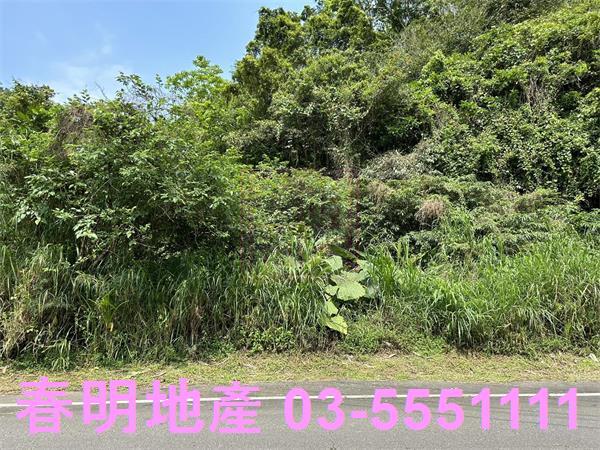 新竹農地-3