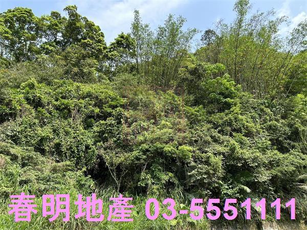 新竹農地-4