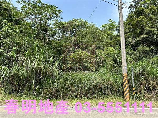 新竹農地-6