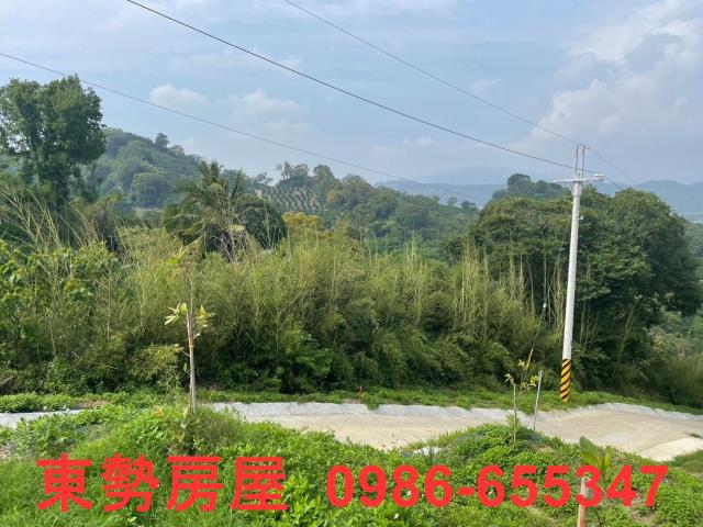 台中東勢農地-12