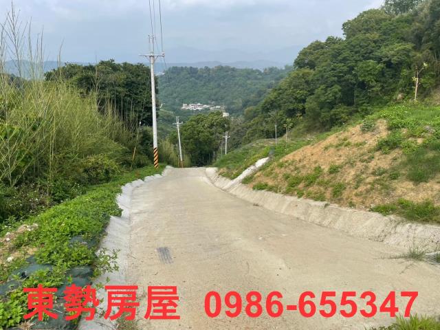 台中東勢農地-4