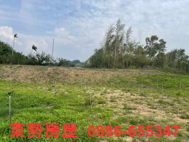 台中東勢農地-5