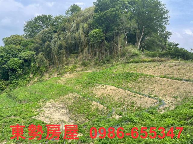 台中東勢農地-9