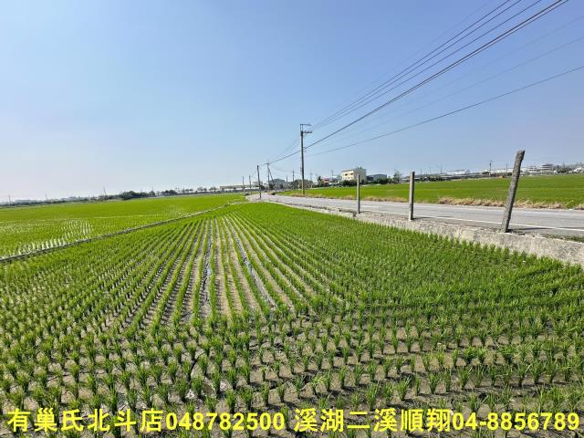 二林農地-1