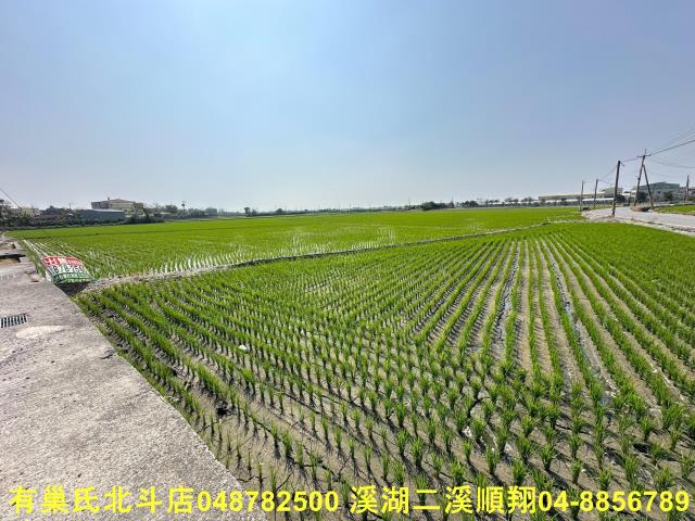 二林農地-3