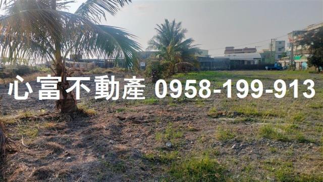 高雄林園建地-1