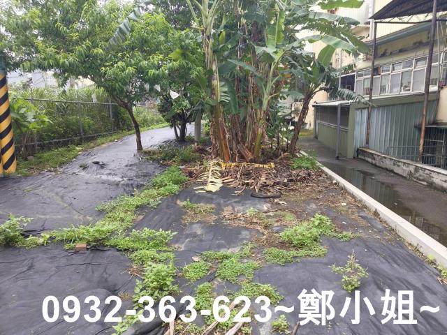 桃園桃園區農地-1