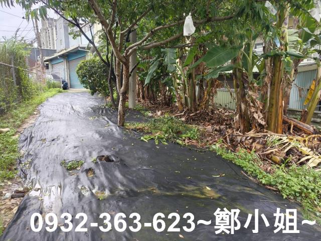 桃園桃園區農地-2