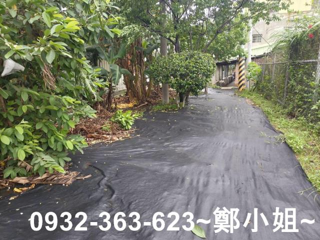 桃園桃園區農地-3