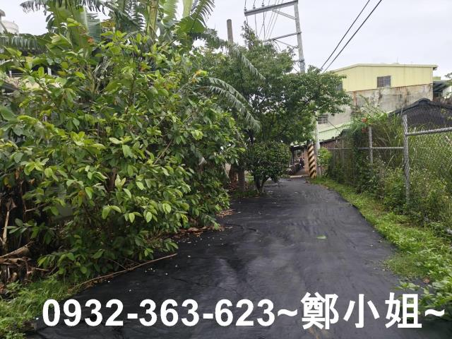 桃園桃園區農地-4