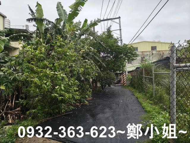 桃園桃園區農地-6