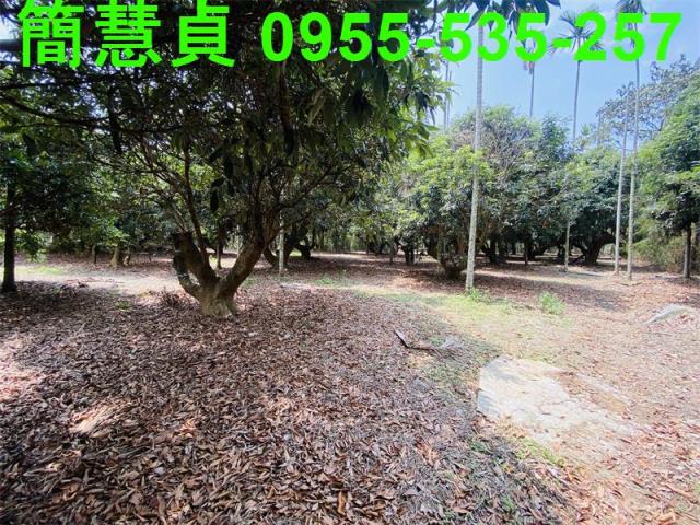 草屯農地-5