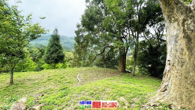 峨眉農地-6