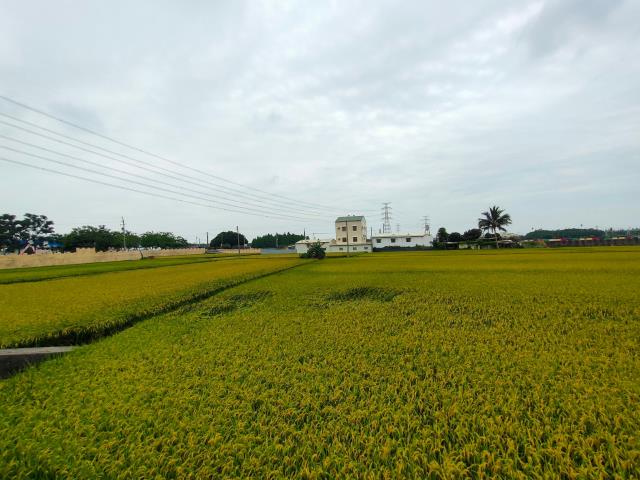 彰化社頭農地-3