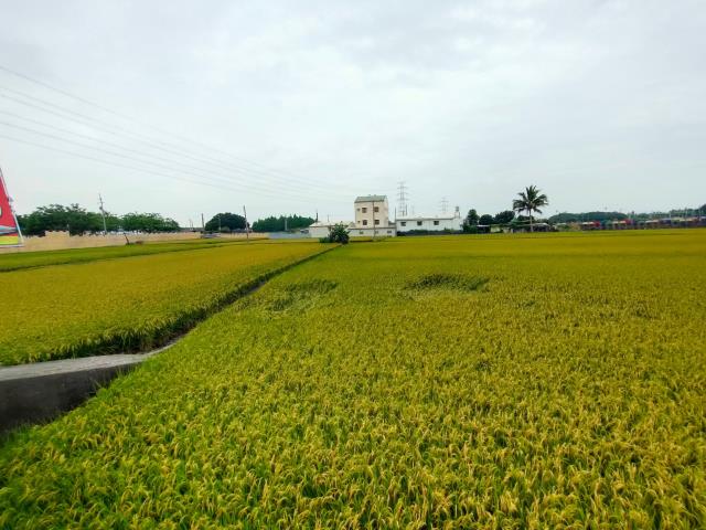 彰化社頭農地-5
