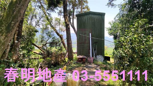 橫山農地-10