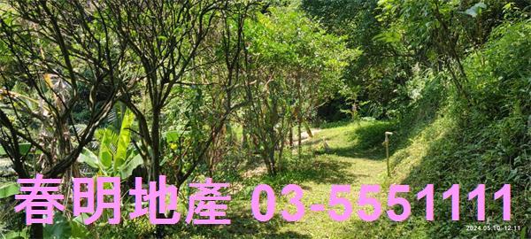 橫山農地-14