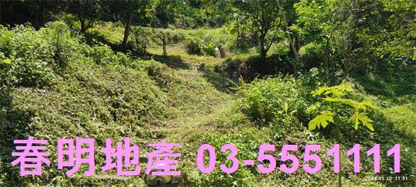 橫山農地-3