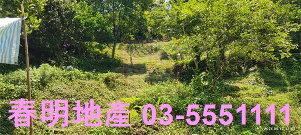 橫山農地-5