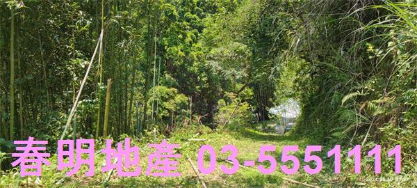 橫山農地-6