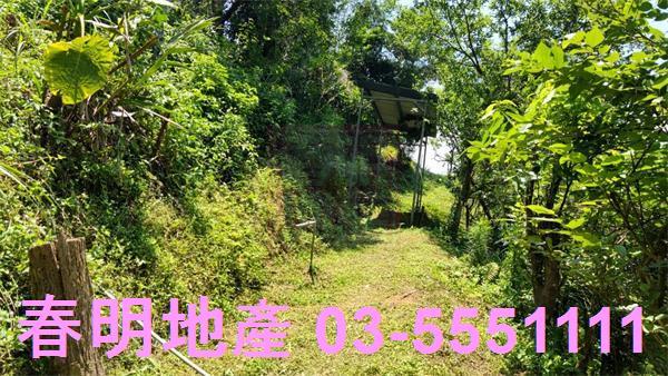 橫山農地-9