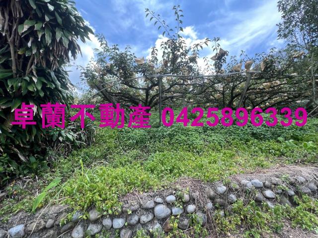 卓蘭農地-6