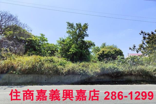 台南建地-3