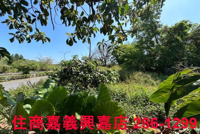 台南建地-4