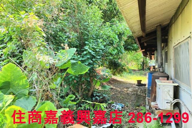 台南建地-8