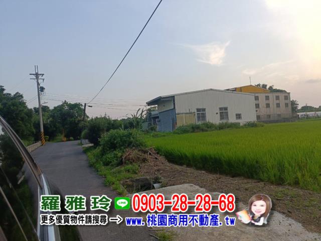 桃園中壢農地-1