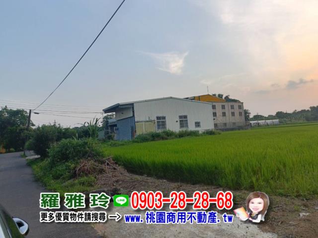 桃園中壢農地-2
