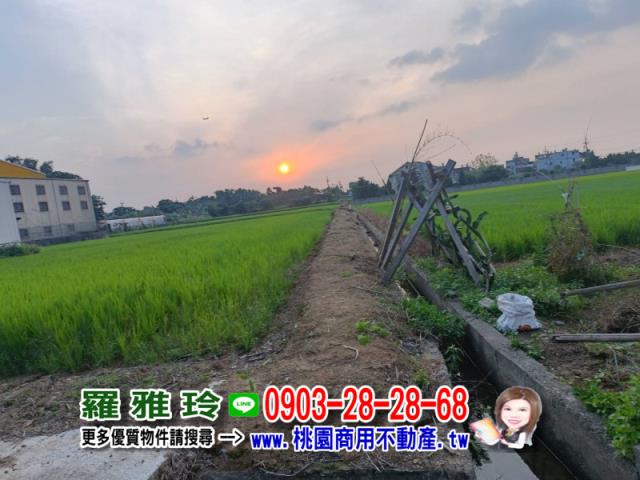 桃園中壢農地-3