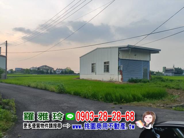 桃園中壢農地-4