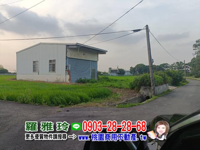 桃園中壢農地-5