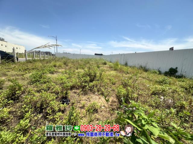 桃園中壢建地-4