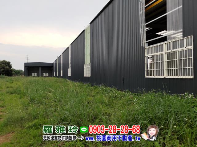 桃園新屋農地-4